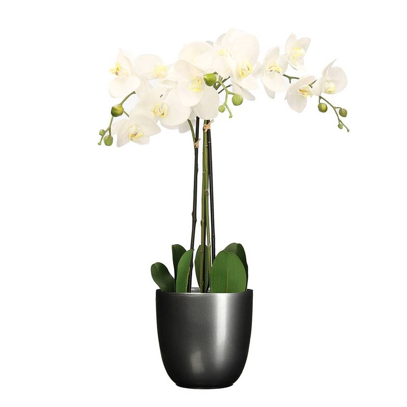 Foto van Orchidee kunstplant wit - 75 cm - inclusief bloempot titanium grijs glans - kunstplanten