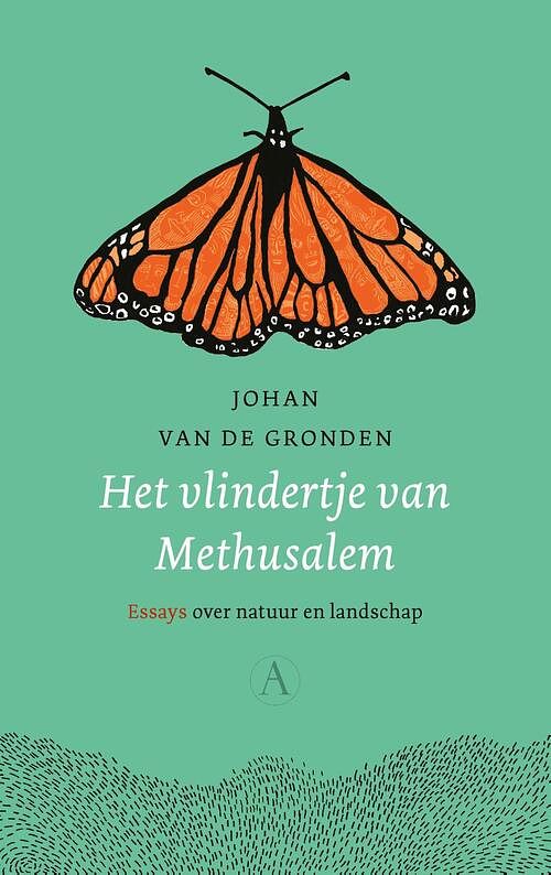 Foto van Het vlindertje van methusalem - johan van de gronden - ebook (9789025309657)