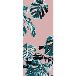 Foto van Komar monstera rosé blauw vlies fotobehang 100x250cm 1-baan