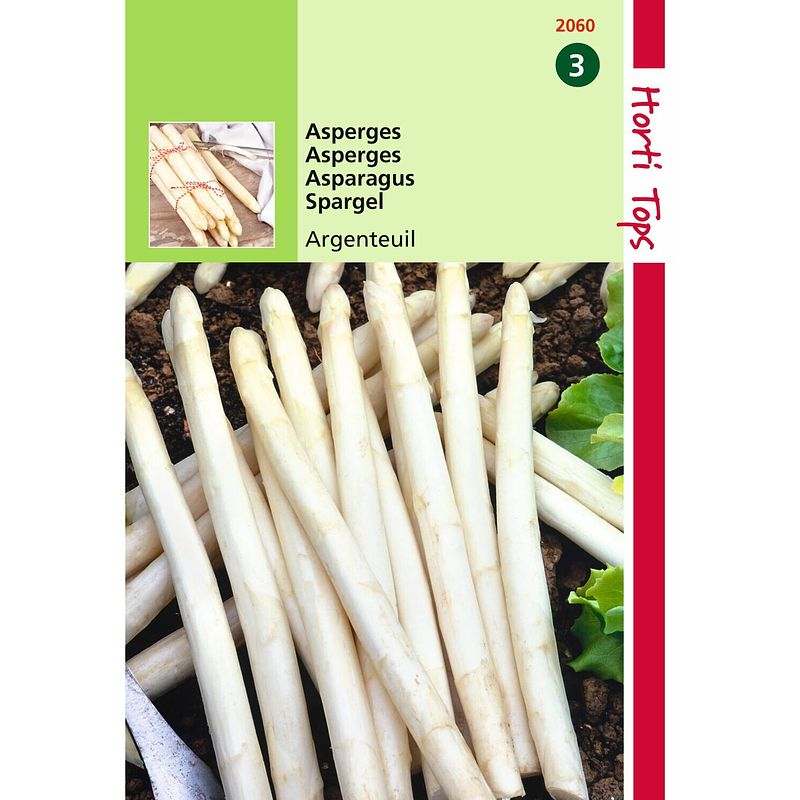 Foto van Hortitops - 2 stuks asperges argenteuil