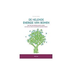 Foto van De helende energie van bomen