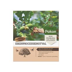 Foto van Pokon eikenprocessiemotval