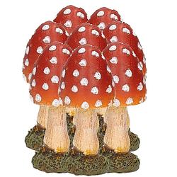 Foto van 8x stuks decoratie paddenstoelen vliegenzwammen 8 cm