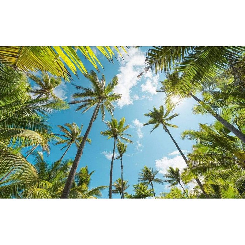 Foto van Komar coconut heaven vlies fotobehang 450x280cm 9-banen