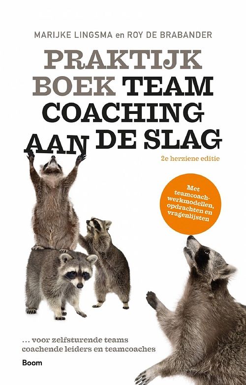 Foto van Praktijkboek teamcoaching, aan de slag - marijke lingsma, roy de brabander - ebook (9789024425723)