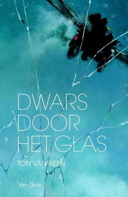 Foto van Dwars door het glas - ton van reen - ebook (9789000310722)