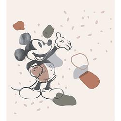 Foto van Komar mickey organic shapes vlies fotobehang 250x280cm 5-banen