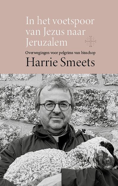 Foto van In het voetspoor van jezus naar jeruzalem - paperback (9789493279339)