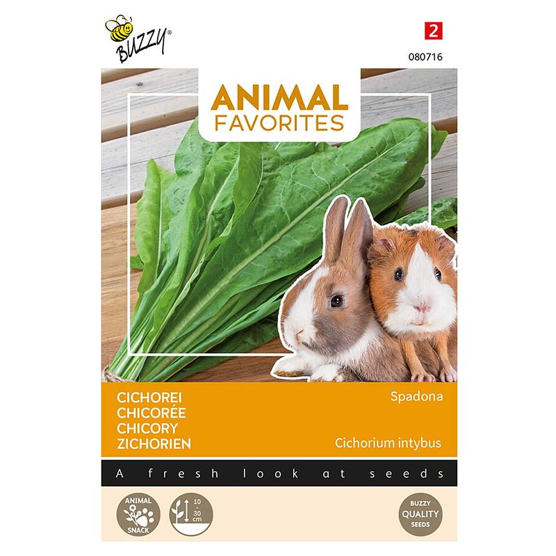 Foto van Tuinplus - animal favorites cichorei spadona - konijn - cavia tuinzaden