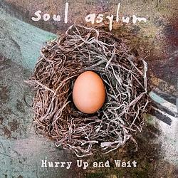 Foto van Hurry up and wait - lp (0194491726416)