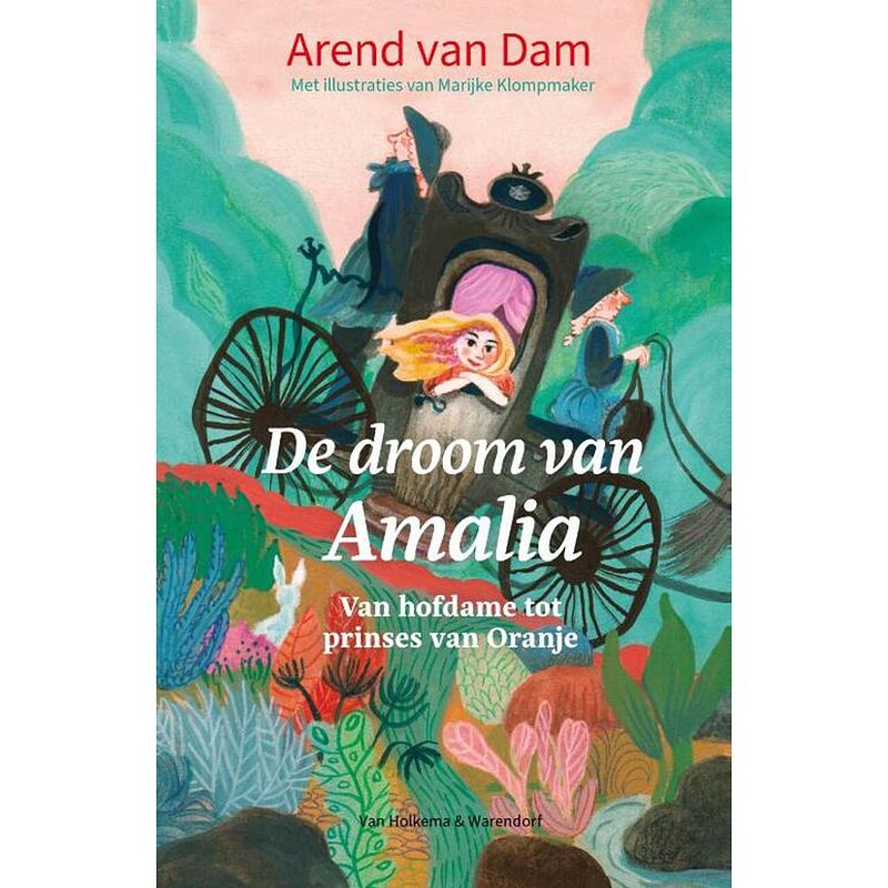 Foto van De droom van amalia