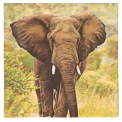 Foto van 20x safari thema servetten met olifant print 33 x 33 cm - feestservetten