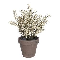 Foto van Mica decorations kunstplant astilbe 21 cm keramiek crème