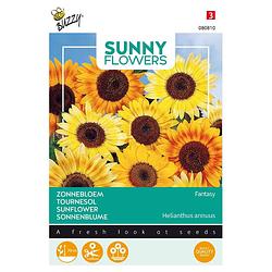 Foto van 3 stuks sunny flowers music box