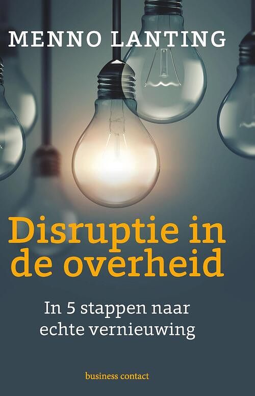 Foto van Disruptie in de overheid - menno lanting - ebook (9789047011835)