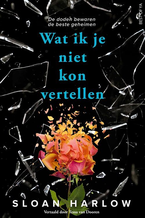 Foto van Wat ik je niet kon vertellen - sloan harlow - ebook