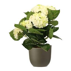 Foto van Hortensia kunstplant/kunstbloemen 36 cm - wit/groen - in pot olijfgroen mat - kunstplanten