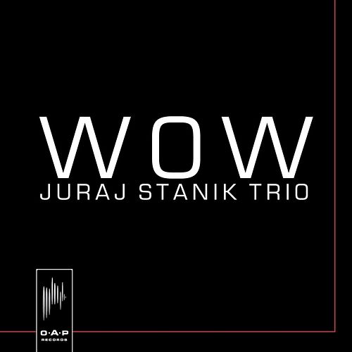 Foto van Wow - cd (8714835106166)