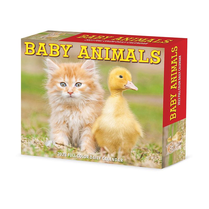 Foto van Baby animals kalender 2023 boxed