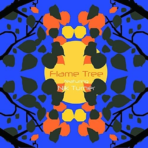 Foto van Flame tree feat. nik turner - cd (0889466029820)