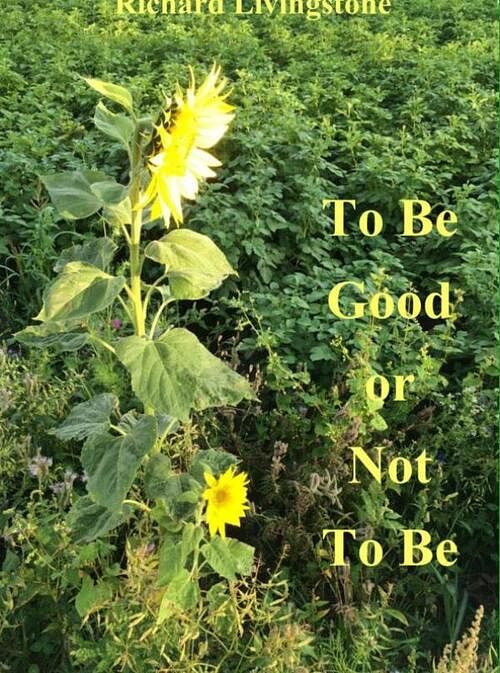 Foto van To be good or not to be - richard livingstone - ebook (9789402149470)