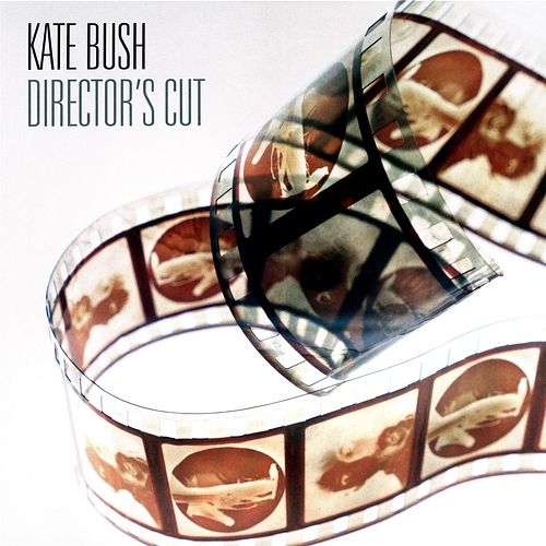 Foto van Director's cut - lp (0190295593803)