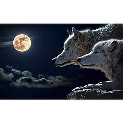Foto van Diamond painting pakket wolven in de nacht - volledig - full - 50x30 cm - seos shop ®