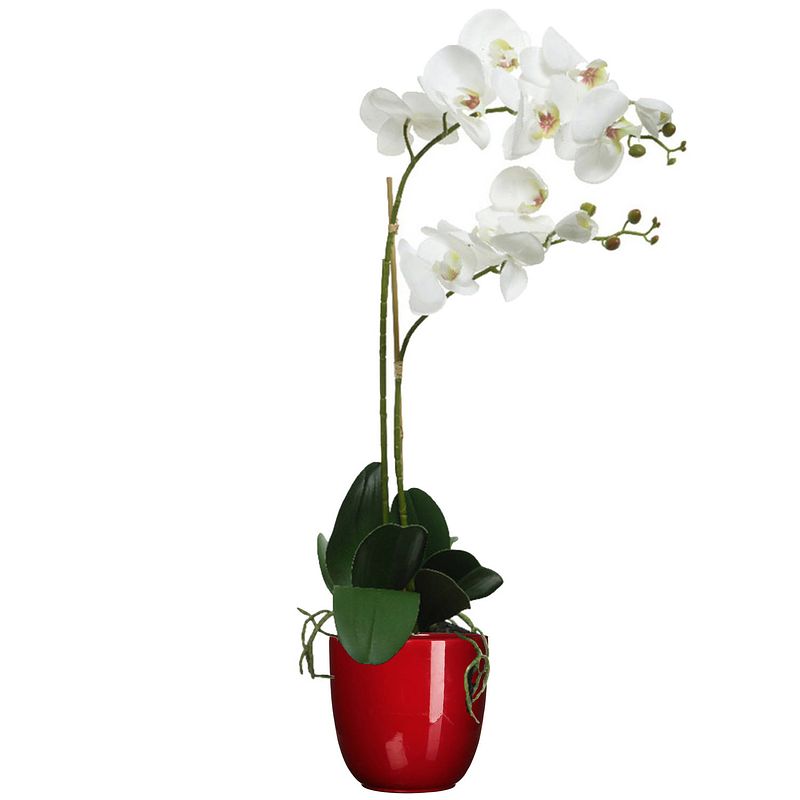 Foto van Orchidee kunstplant wit - 62 cm - inclusief bloempot donkerrood glans - kunstplanten