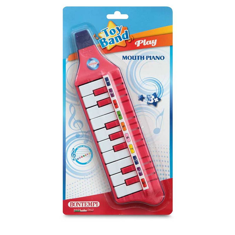 Foto van Bontempi mondpiano