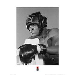 Foto van Kunstdruk muhammad ali training 60x80cm