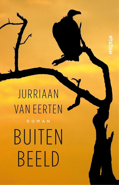 Foto van Buiten beeld - jurriaan van eerten - ebook (9789046825846)