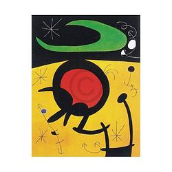 Foto van Joan miro - vuelo de pajaros kunstdruk 40x50cm