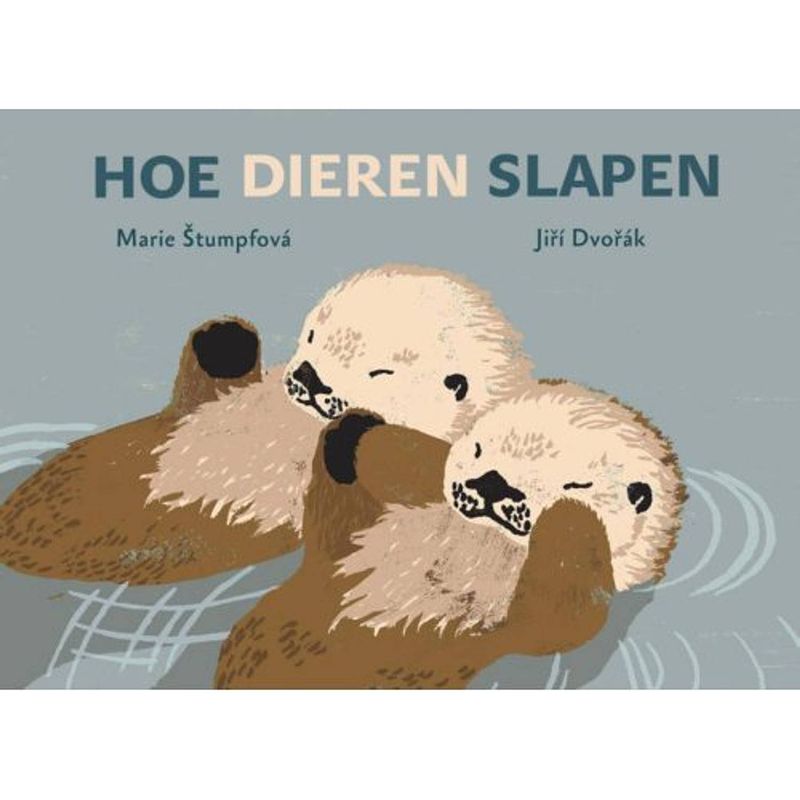 Foto van Zo slapen dieren