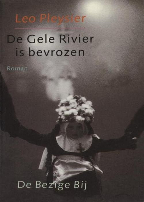 Foto van De gele rivier is bevrozen - leo pleysier - ebook