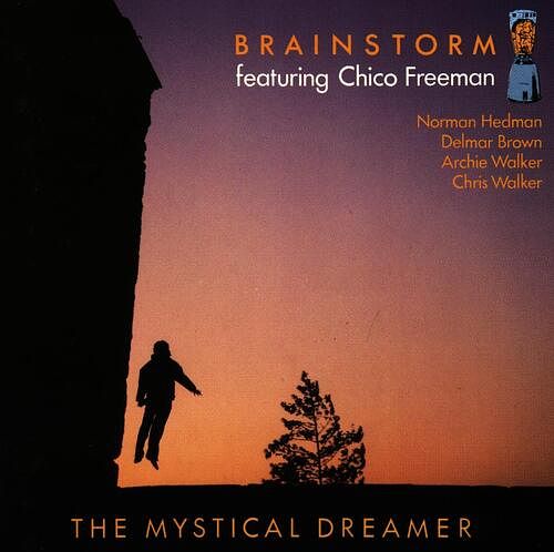 Foto van The mystical dreamer - cd (4014224700628)