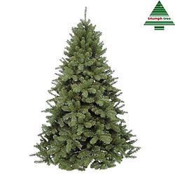 Foto van Triumph tree - scandia kunstkerstboom groen d150 h215 cm