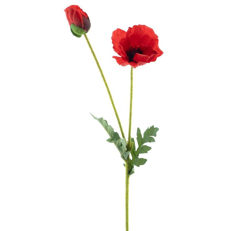 Foto van Nova nature - poppy spray soo red 62 cm kunstbloemen