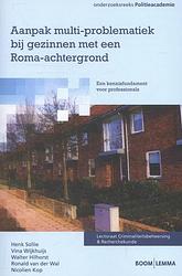 Foto van Aanpak multi-problematiek bij gezinnen met een roma-achtergrond - henk sollie - paperback (9789059319431)