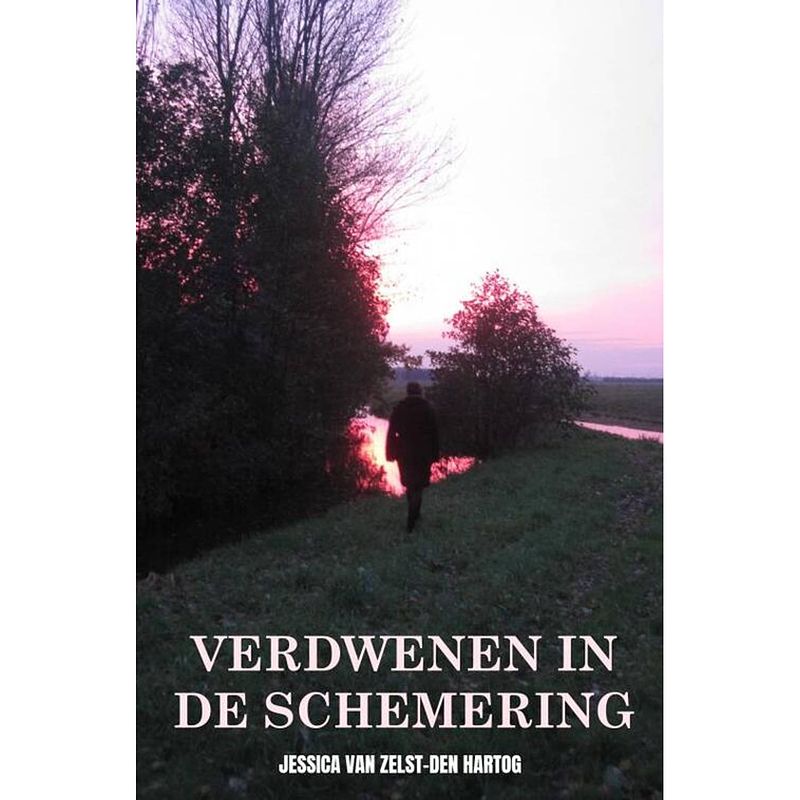 Foto van Verdwenen in de schemering