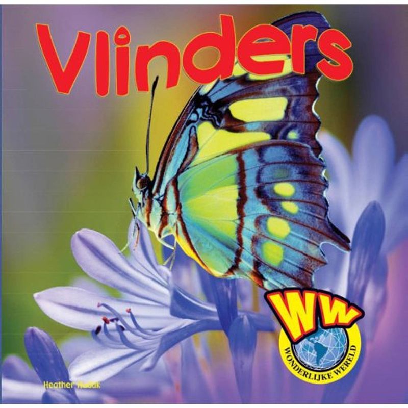 Foto van Vlinders - wonderlijke wereld