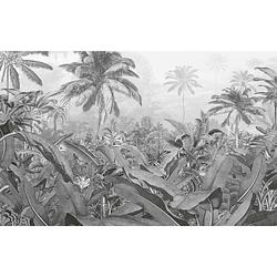 Foto van Komar fotobehang amazonia black and white 400x250 cm