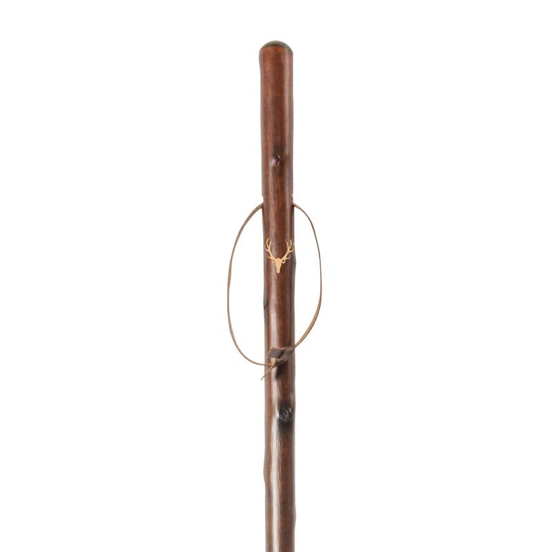 Foto van Classic canes jachtstok - bruin - hertenkop - kastanje hout - lengte 122 cm - jagers wandelstok - wandelstok outdoor