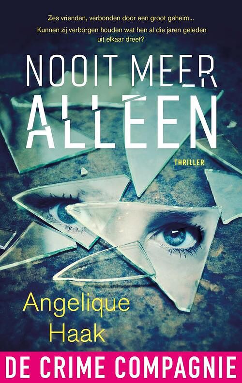 Foto van Nooit meer alleen - angelique haak - ebook (9789461094674)