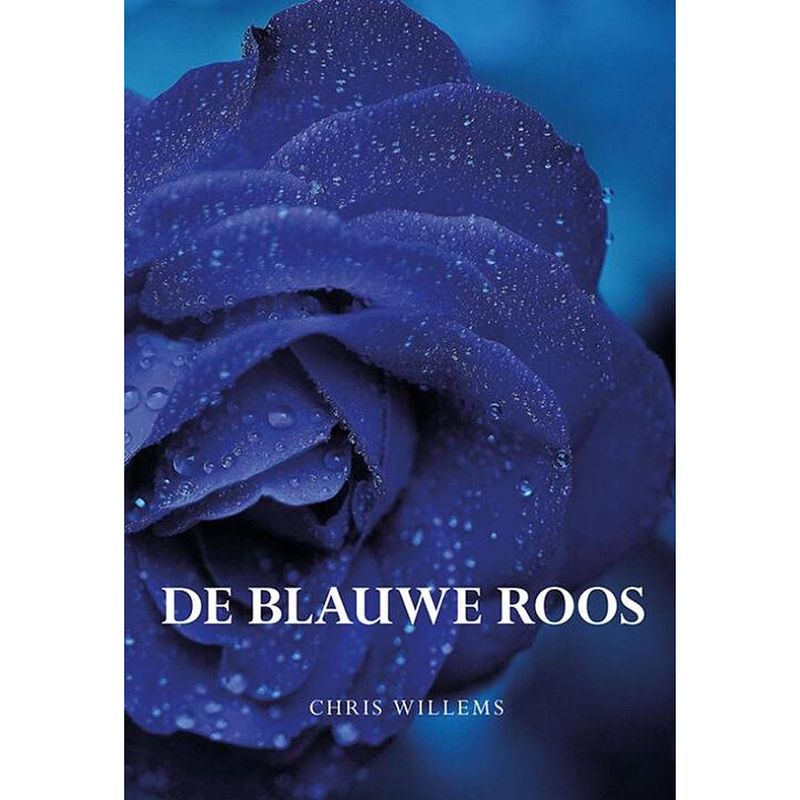 Foto van De blauwe roos