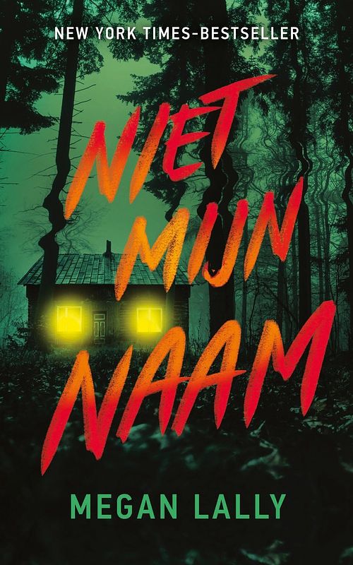 Foto van Niet mijn naam - megan lally - ebook