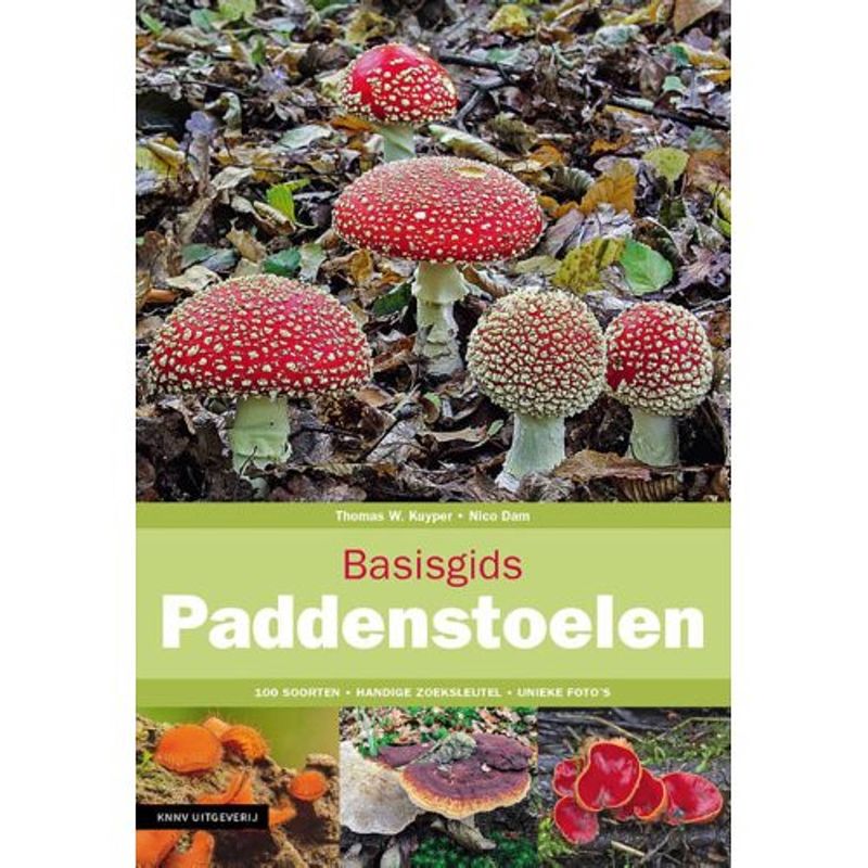 Foto van Basisgids paddenstoelen - basisgids