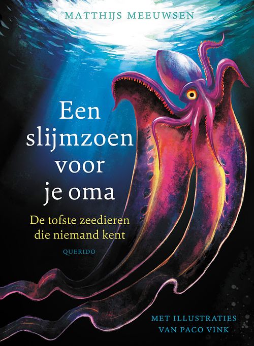 Foto van Een slijmzoen voor je oma - matthijs meeuwsen - hardcover (9789045128160)