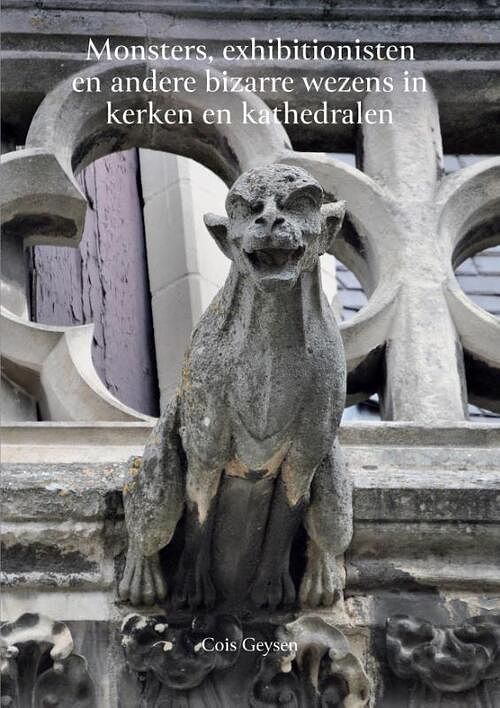 Foto van Monsters, exhibitionisten en andere bizarre wezens in kerken en kathedralen - cois geysen - paperback (9789464062267)