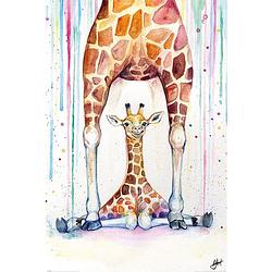 Foto van Pyramid marc allante gorgeous giraffes poster 61x91,5cm