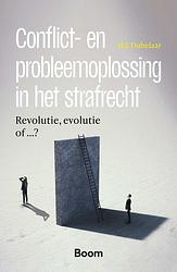 Foto van Conflict- en probleemoplossing in het strafrecht - m.j. dubelaar - ebook